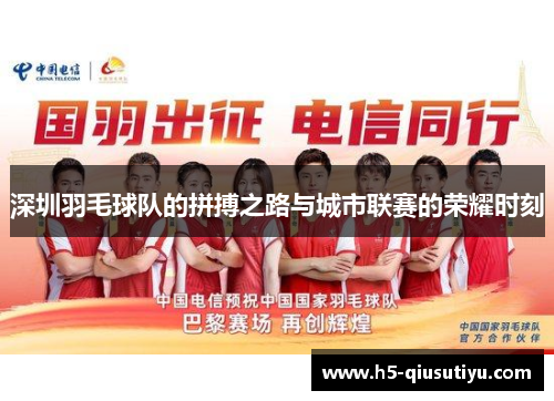 深圳羽毛球队的拼搏之路与城市联赛的荣耀时刻